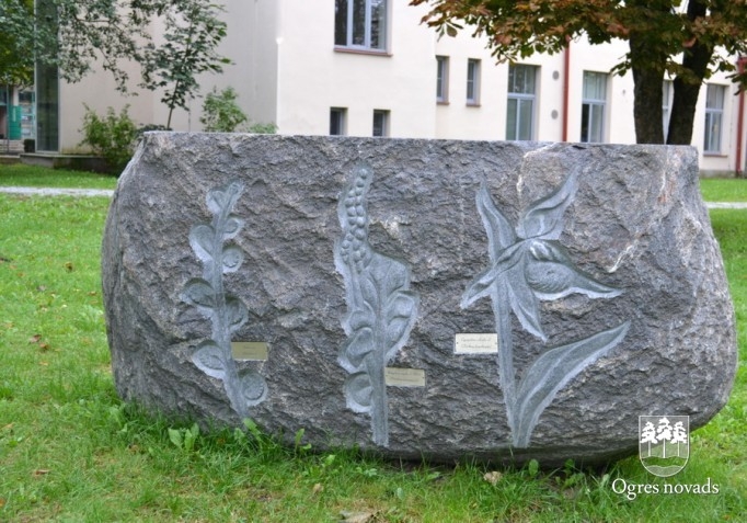 Akmens skulptūras Ogrē 09.2014.