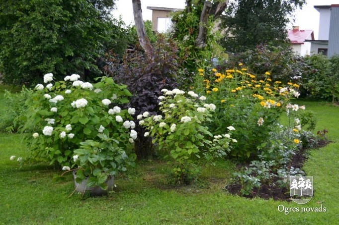 Konkurss "Sakārtotākais namīpašums 2012"