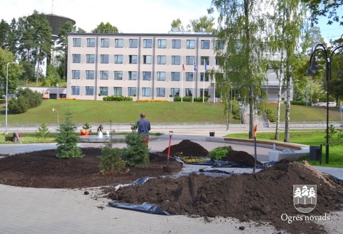 Brīvības ielā notiek apzaļumošanas darbi