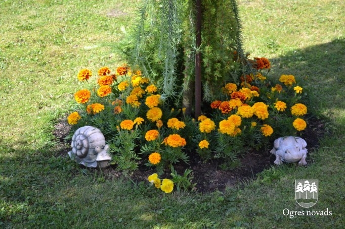 Konkurss "Sakoptākais namīpašums 2014"