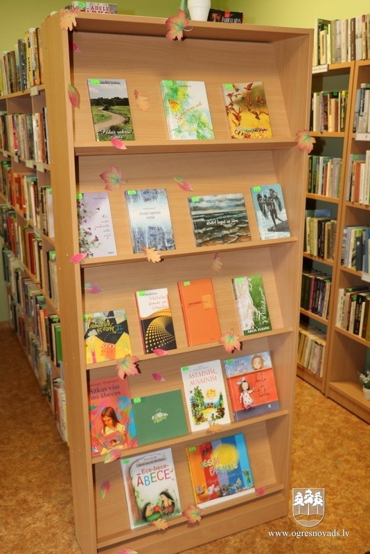 Novada pagastos plašas, labi aprīkotas bibliotēkas