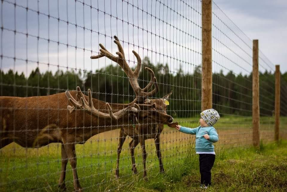 Rudens brīvlaiks Ogres novadā – piedzīvojumi un atpūta visai ģimenei
