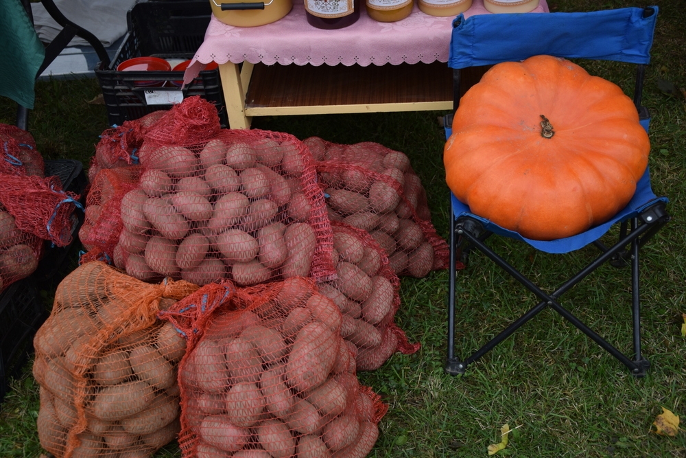 Rembatē svin “Dārzeņu festivālu”