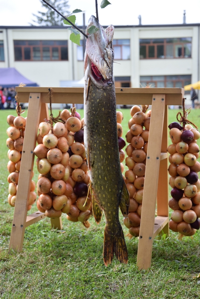 Rembatē svin “Dārzeņu festivālu”