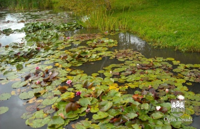 Konkursa "Skaistākais namīpašums 2012" dalībnieki dodas ekskursijā