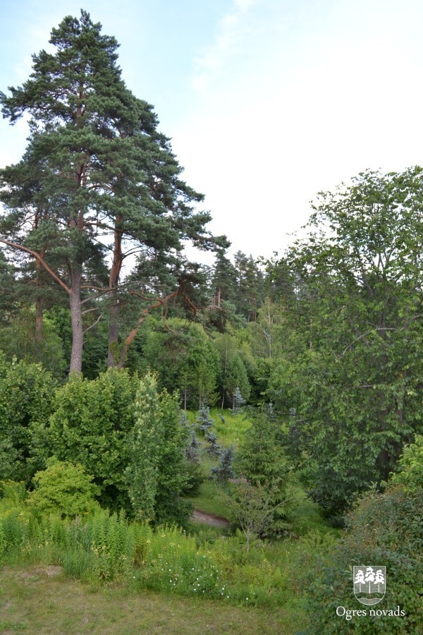 Dendroloģiskais dabas parks Lazdukalni