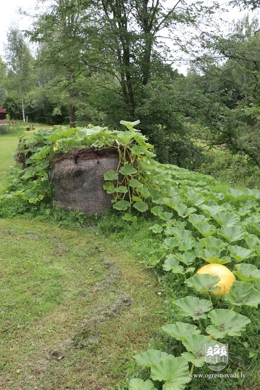 "Gulbīši" Suntažos