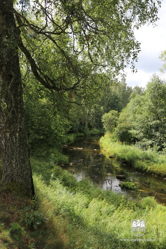 "Gulbīši" Suntažos