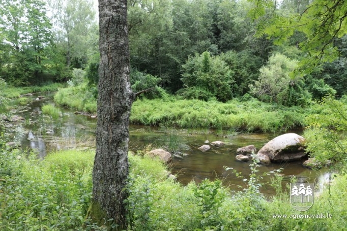 "Gulbīši" Suntažos