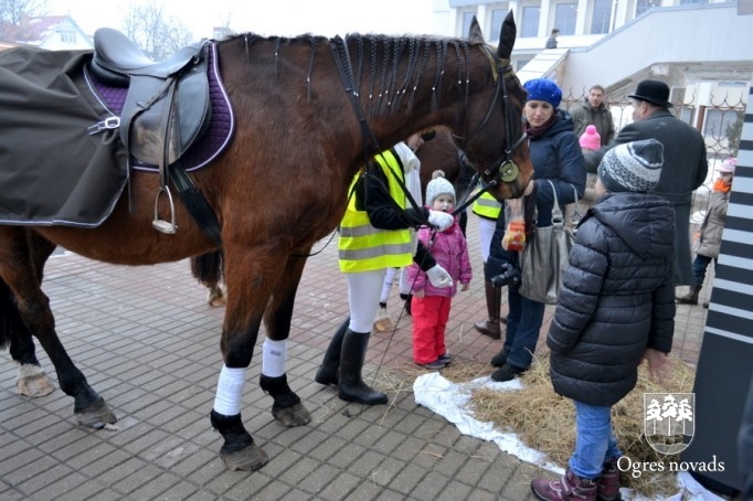 Iztādes "Pilna bufete ar zirgu uzraudzību” atklāšana Ogres Vēstures un mākslas muzejā