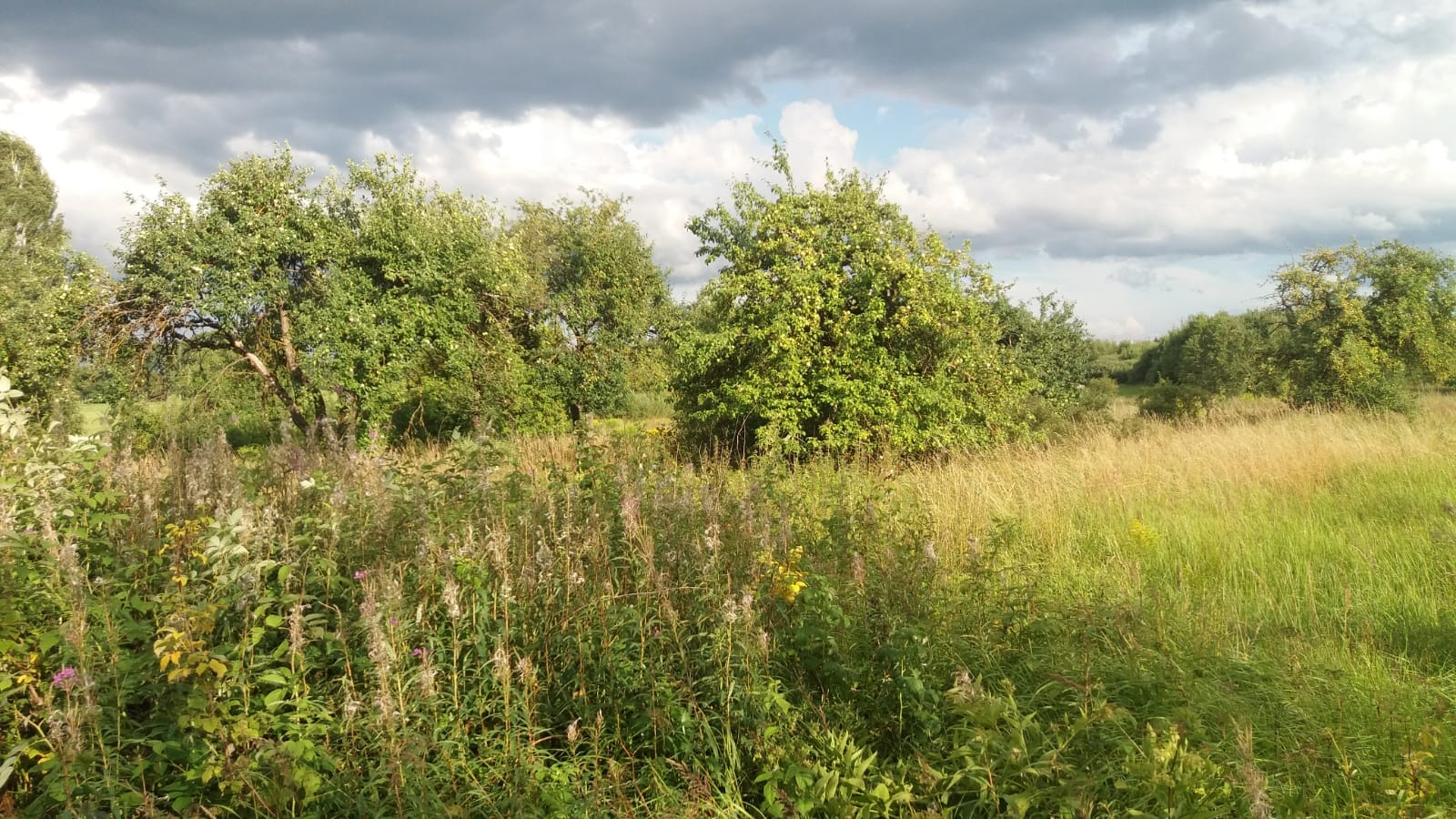 Jasmīnu iela 4, Birzgale