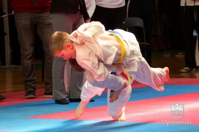 XI Starptautiskais čempionāts  „OGRES KARATĒ KAUSS 2013”