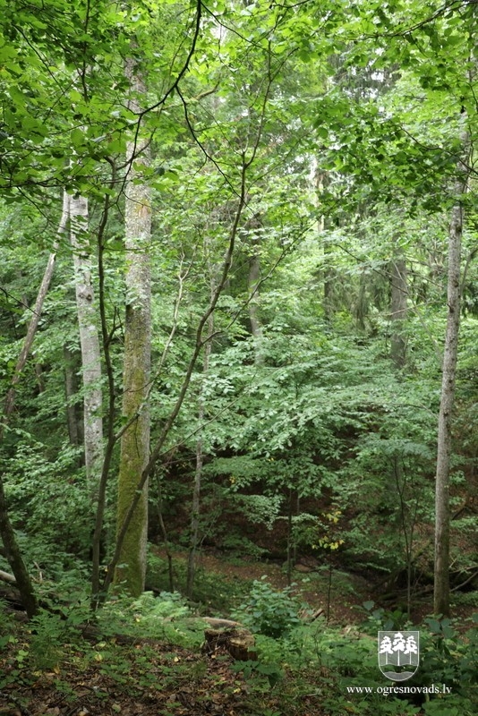 "Kaukuri" Ķeipenē