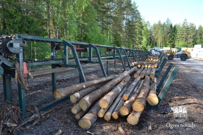 Kokzāģētava "Norupe"