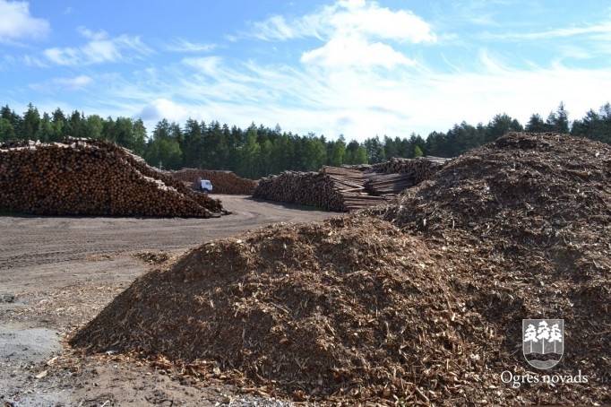 Kokzāģētava "Norupe"