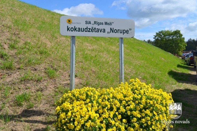 Kokzāģētava "Norupe"