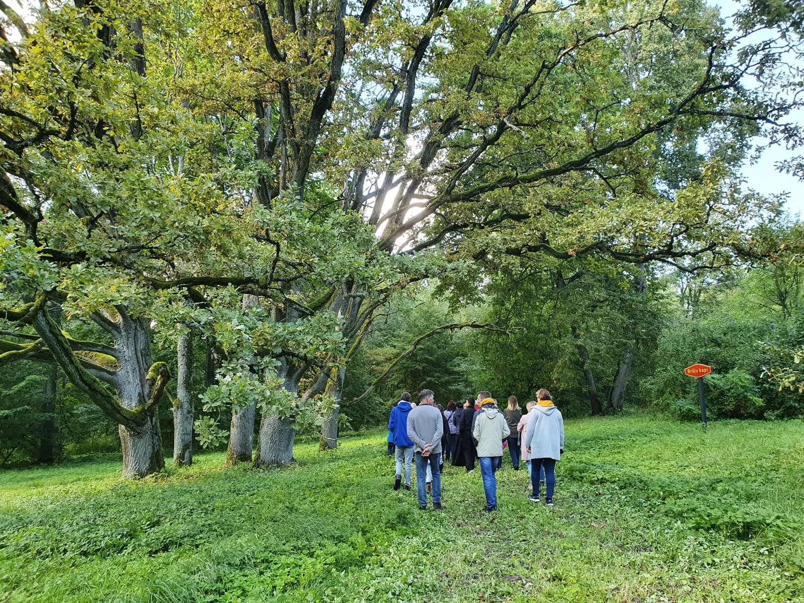 Ekskursija Krapes muižas parkā