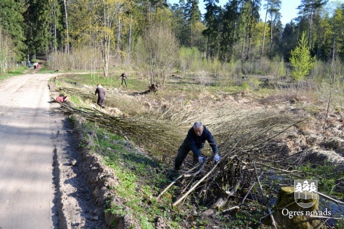Lielā talka Ogrē 2014