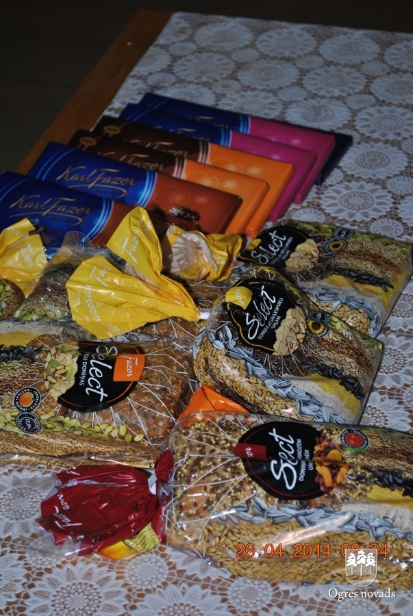 Lielā talka Ogrē 2014