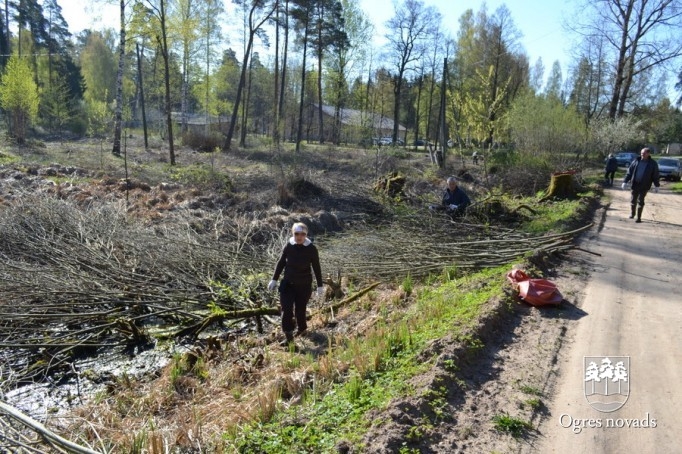 Lielā talka Ogrē 2014
