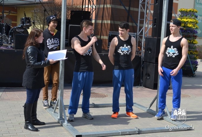 Lielā talka 2015 Ogrē, noslēgums