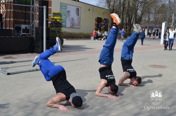 Lielā talka 2015 Ogrē, noslēgums