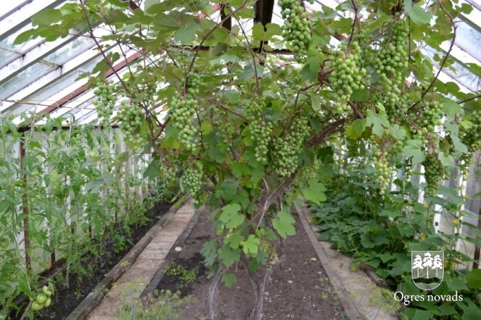 Konkurss "Sakārtotākais namīpašums 2012"