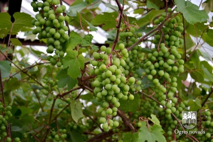 Konkurss "Sakārtotākais namīpašums 2012"