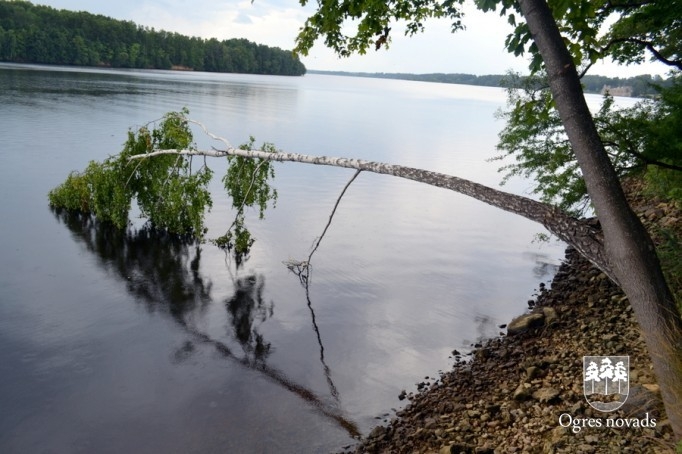 Uz Likteņdārzu - jau piekto reizi!