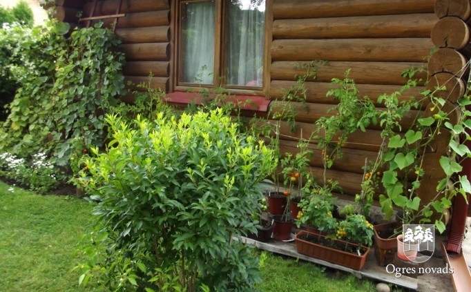 Konkurss "Skaistākais privātmājas dārzs 2013"