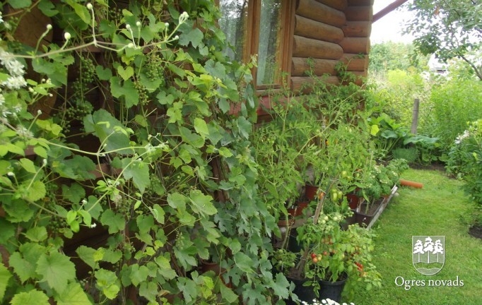 Konkurss "Skaistākais privātmājas dārzs 2013"