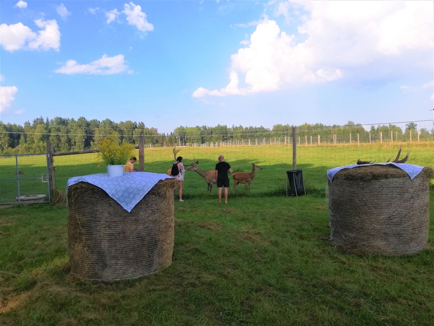 Veiksmīgi aizritējušas mājas kafejnīcu dienas “Ogres novada garšu meklējot”