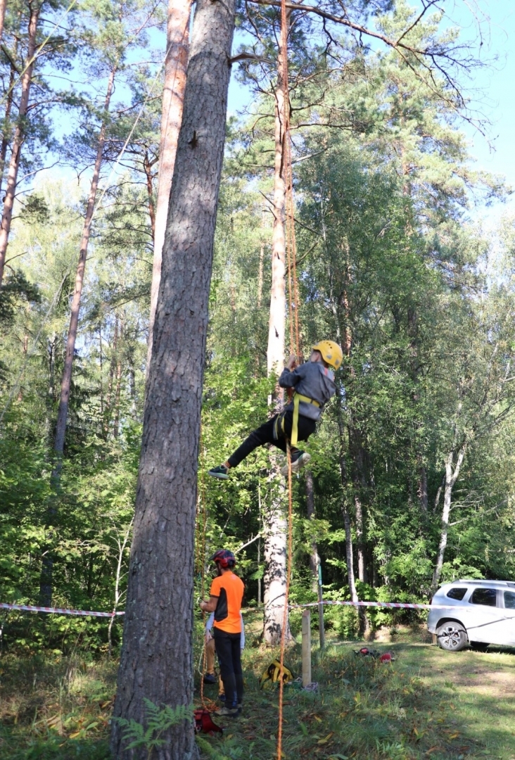 Ogres Zilajos kalnos Meža zinību dienā skolēni apgūst Meža ābeci