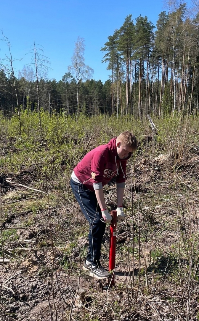 Ogresgala pamatskolas skolēni atjauno mežu Rembatē 22.04.2023.