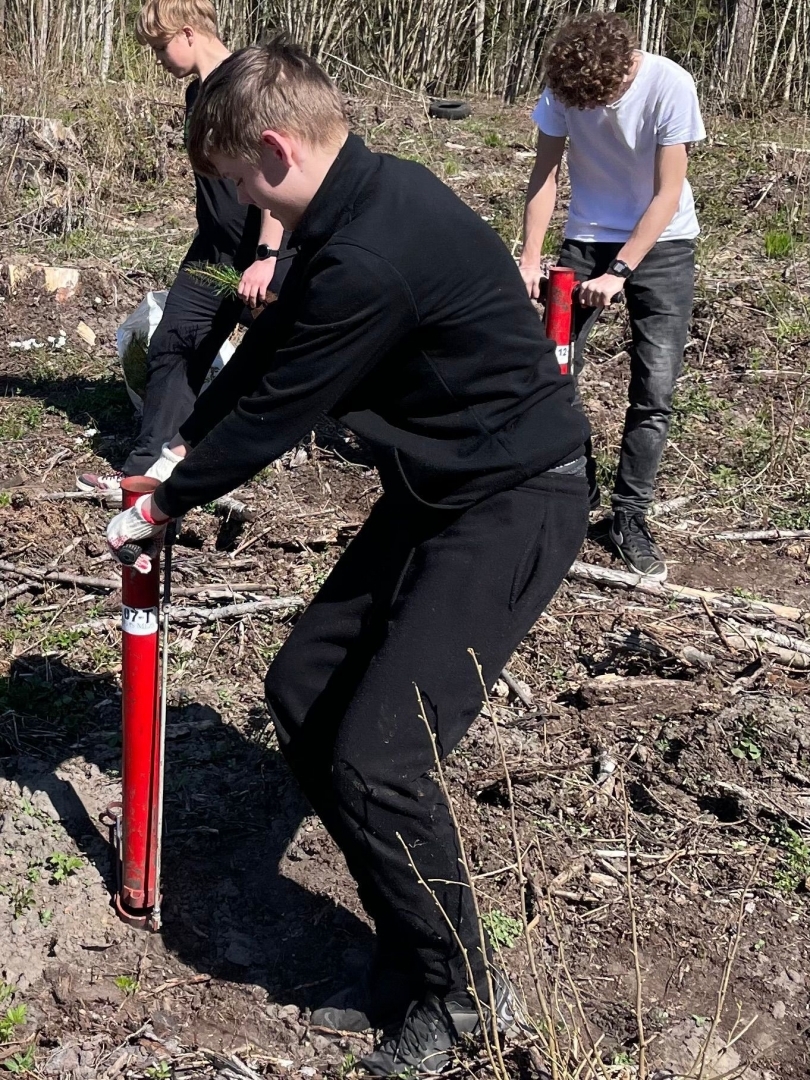 Ogresgala pamatskolas skolēni atjauno mežu Rembatē 22.04.2023.