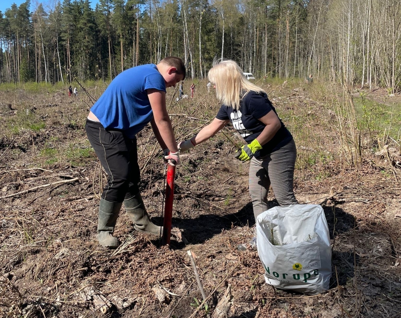 Ogresgala pamatskolas skolēni atjauno mežu Rembatē 22.04.2023.