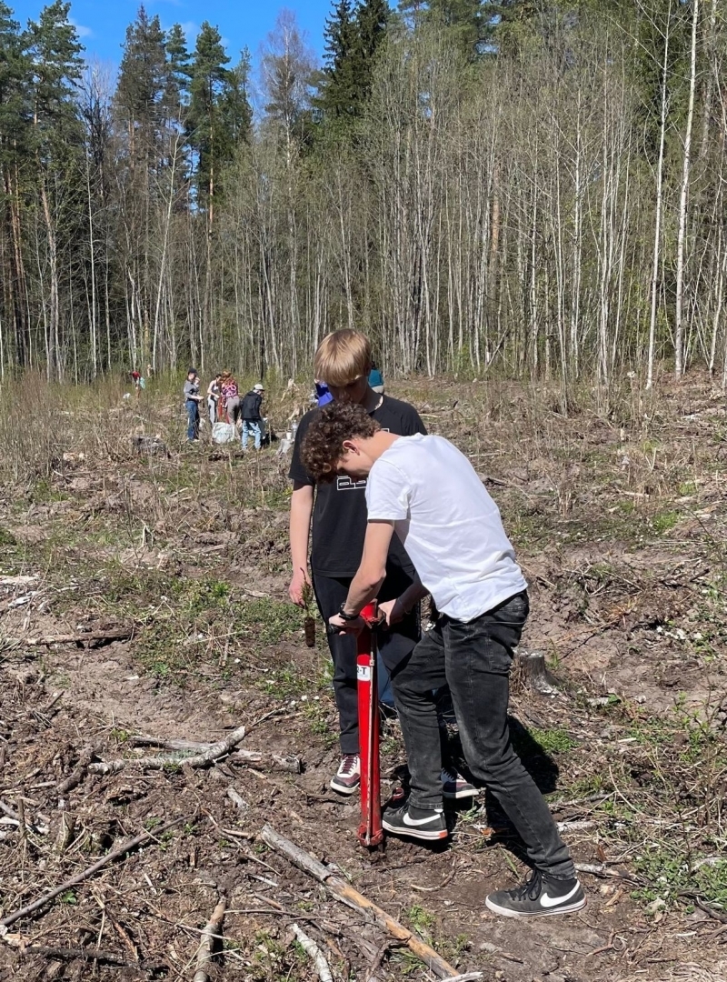 Ogresgala pamatskolas skolēni atjauno mežu Rembatē 22.04.2023.