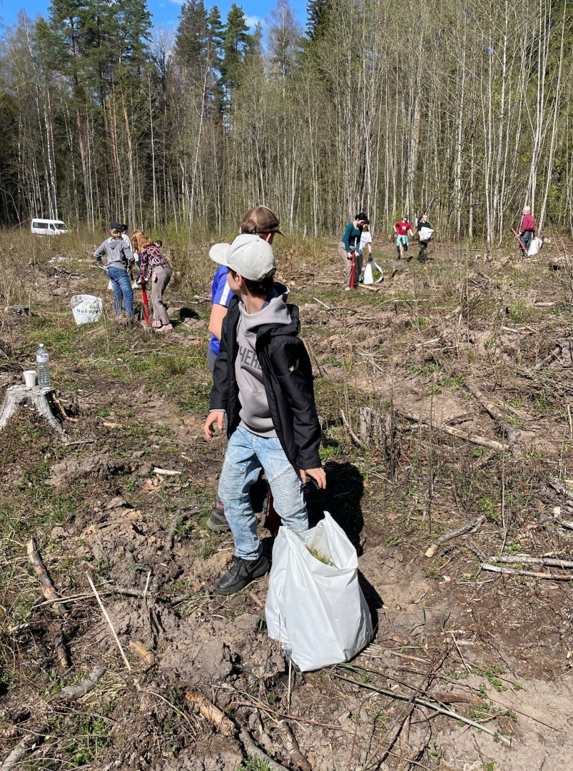 Ogresgala pamatskolas skolēni atjauno mežu Rembatē 22.04.2023.