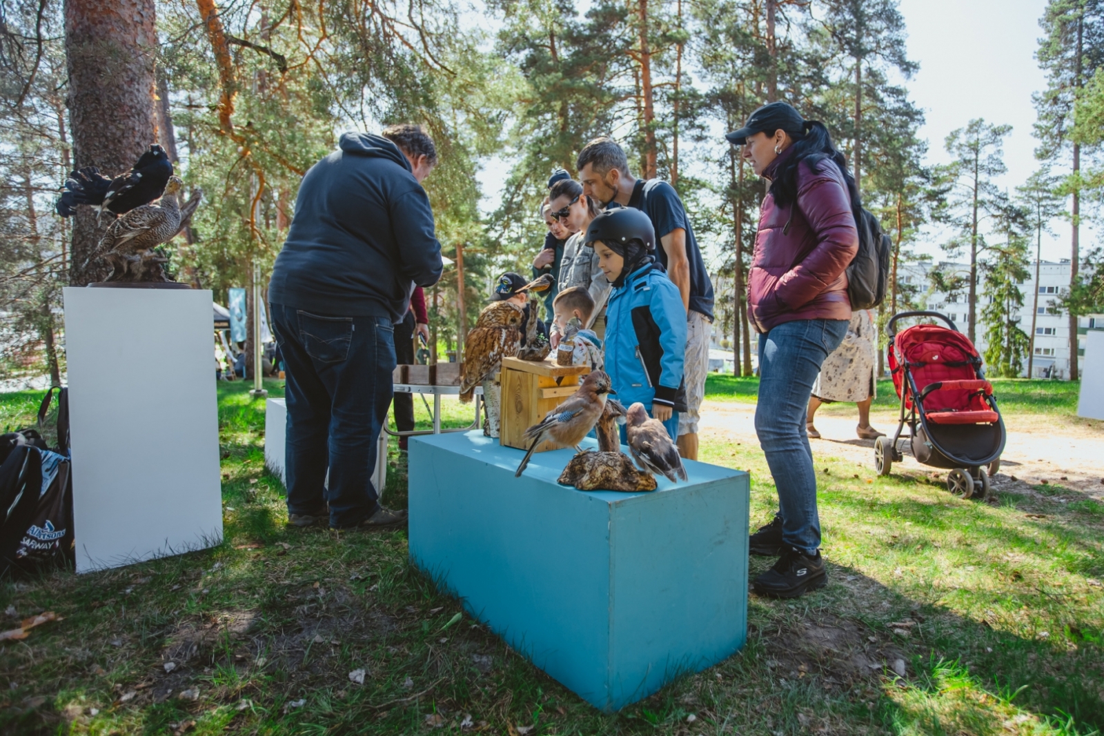 Pasākums "Mežs - veselībai" (22.04.2023) putnu izbāžņi