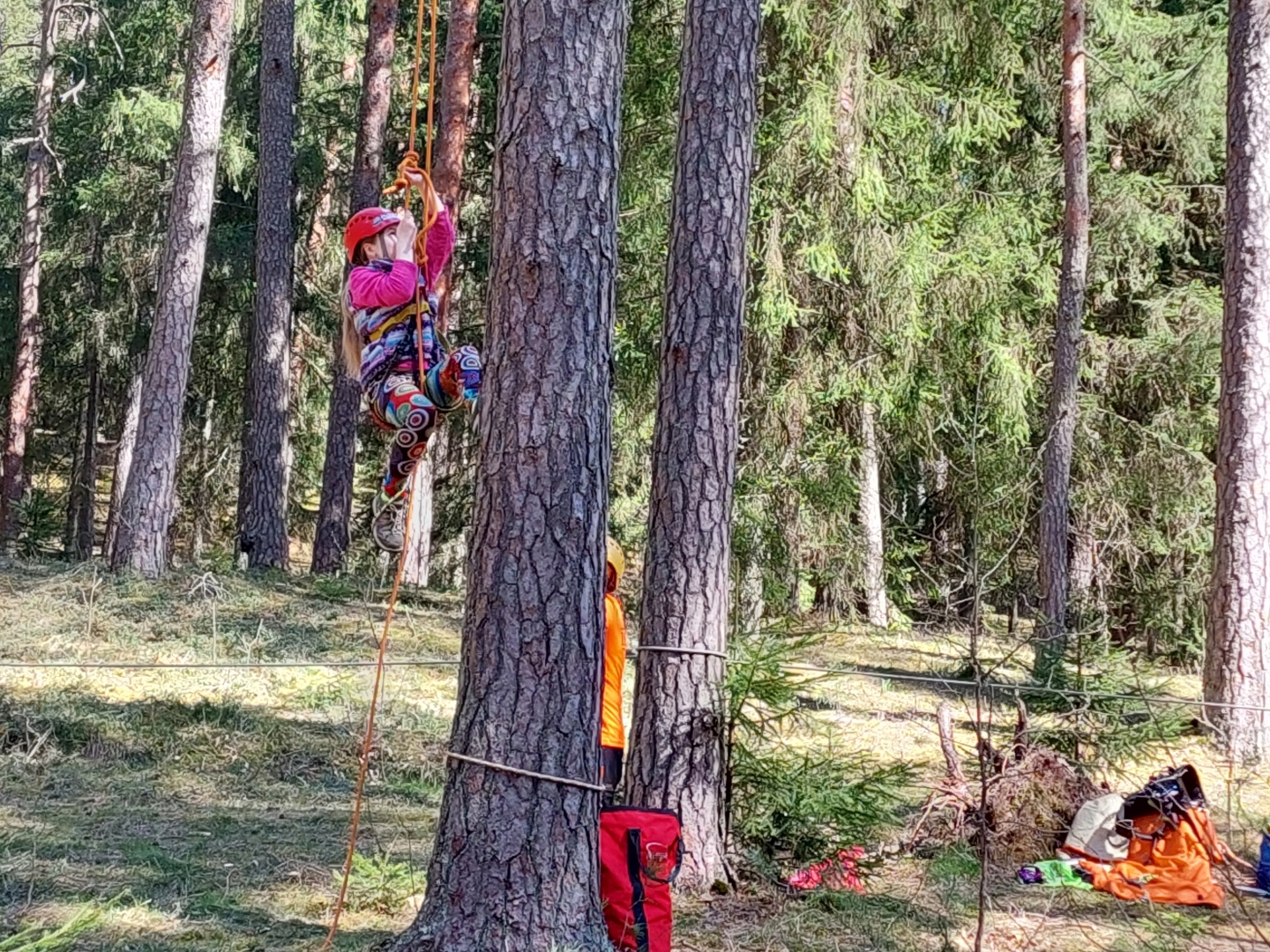 Pasākums "Mežs - veselībai" (22.04.2023) arborists