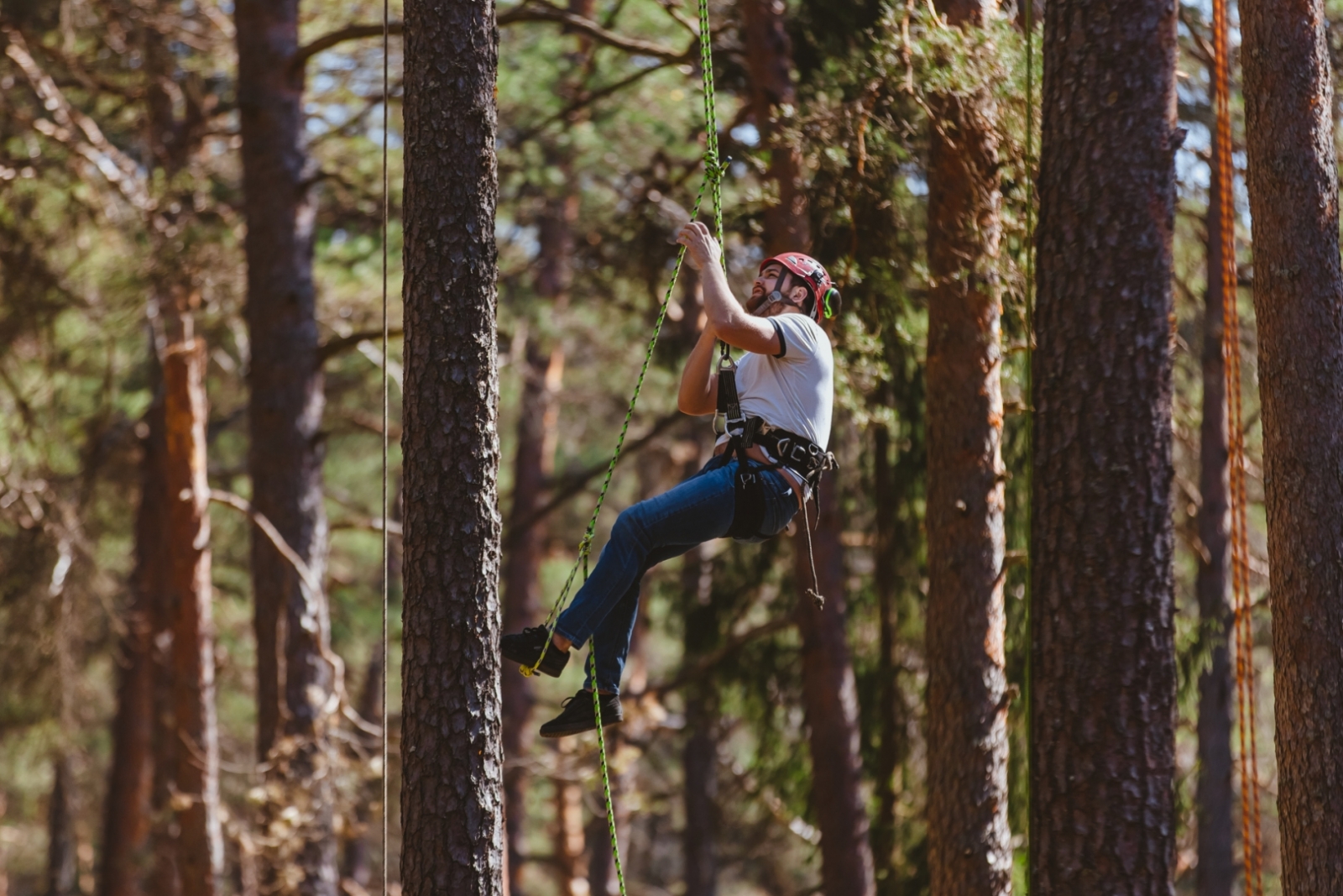 Pasākums "Mežs - veselībai" (22.04.2023) arborists