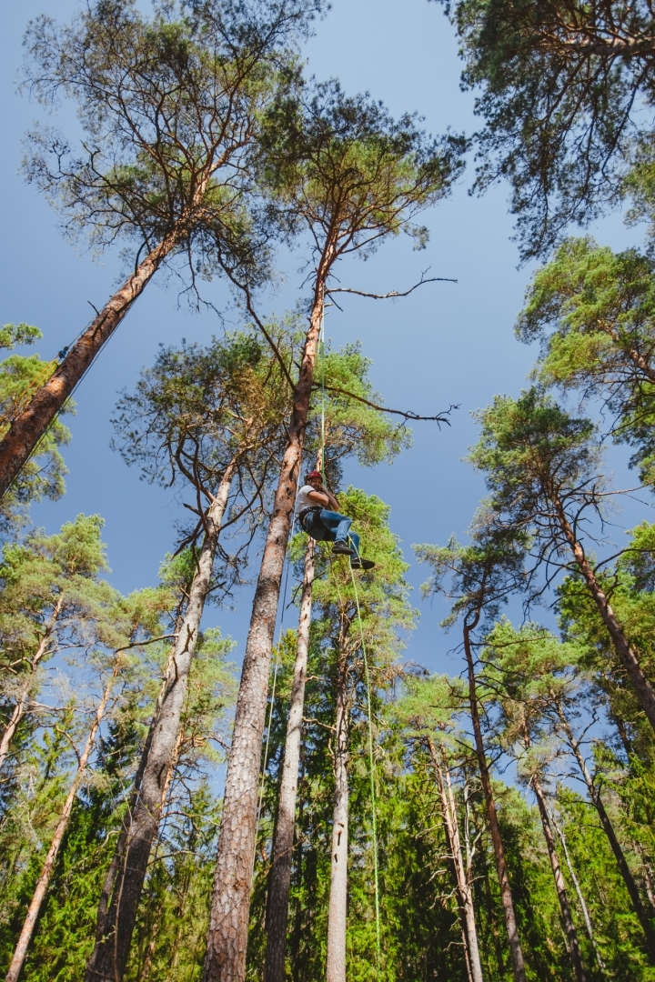 Pasākums "Mežs - veselībai" (22.04.2023) arboristi