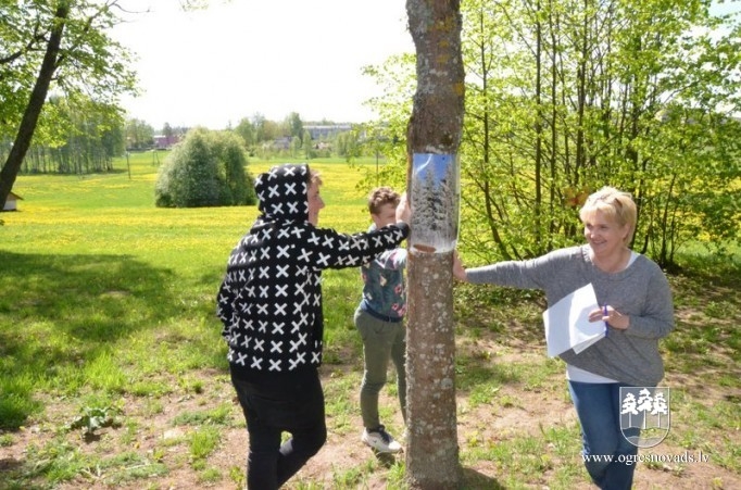 Madlienas vidusskolas audzēkņi izzin karjeras iespējas meža nozarē