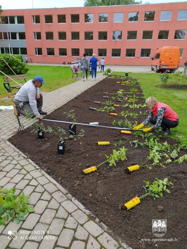 Mežu dienu projektā pilnveidota Suntažu ainava