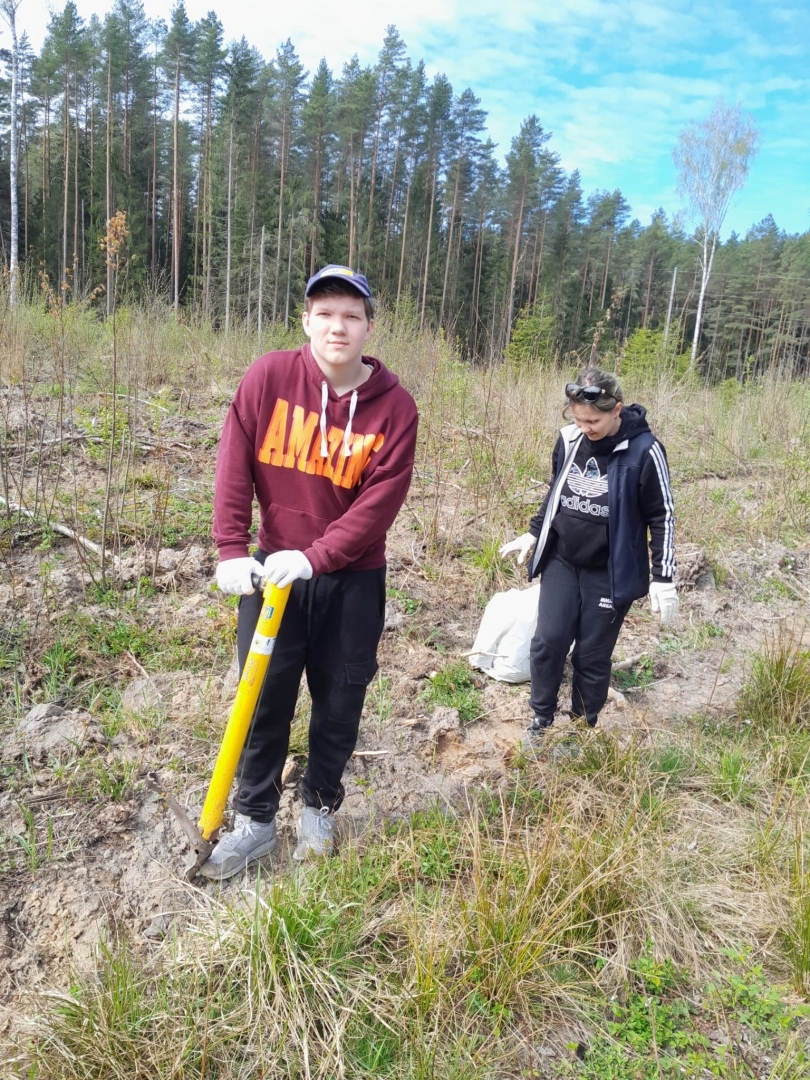 Iedzīvotāji atjauno mežu Rembatē 29.04.2023.