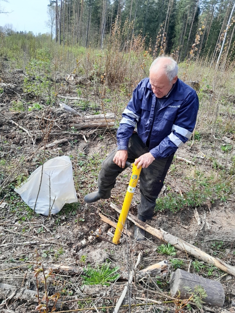 Iedzīvotāji atjauno mežu Rembatē 29.04.2023.