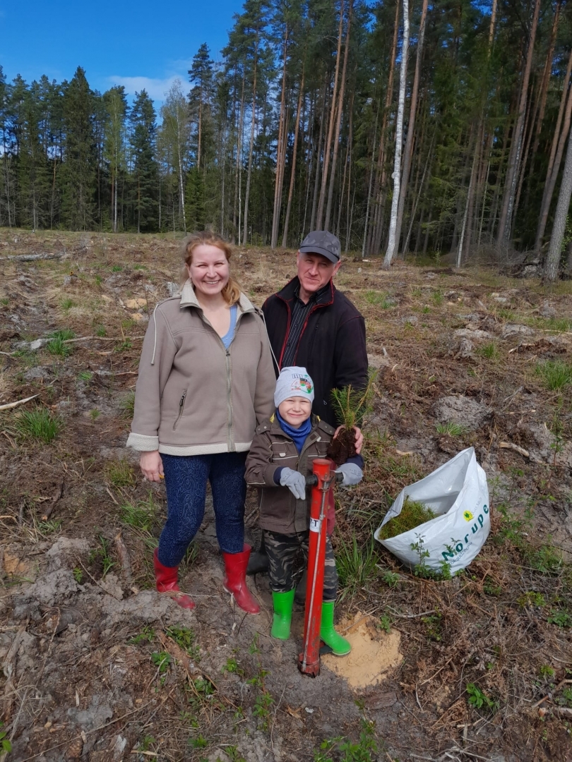 Iedzīvotāji atjauno mežu Rembatē 29.04.2023.