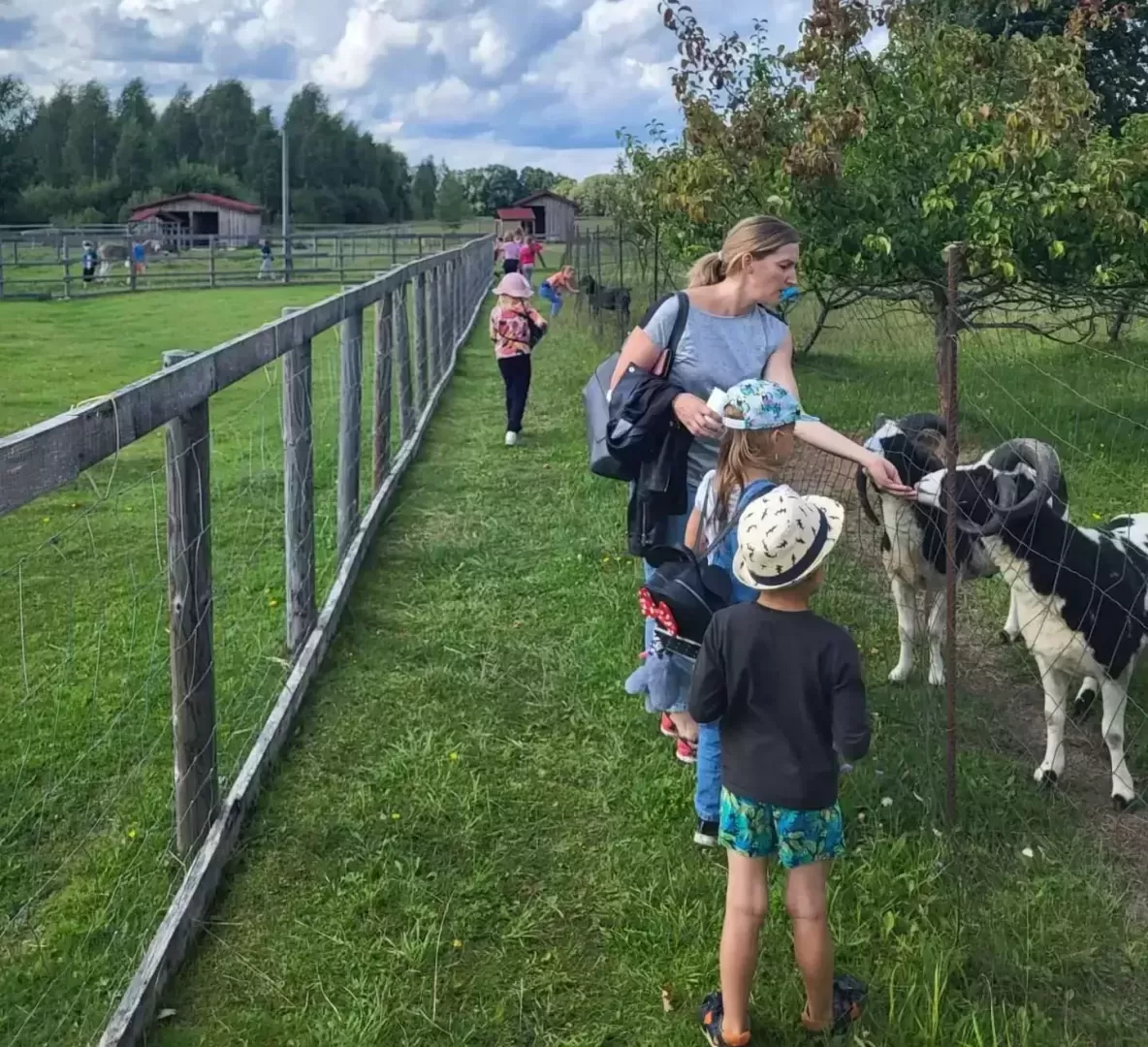 Aktivitātes nometnēs Ogres novadā 2023. gadā