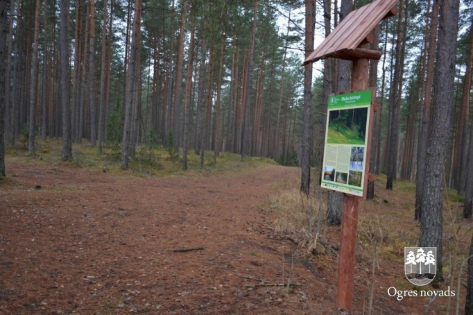 Ogres Zilie kalni 22.11.2012.