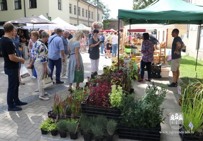 Ogres pilsētas svētki 2019